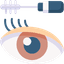 Eye Lashes